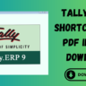 Tally ERP 9 Shortcut Keys Pdf in Hindi Download